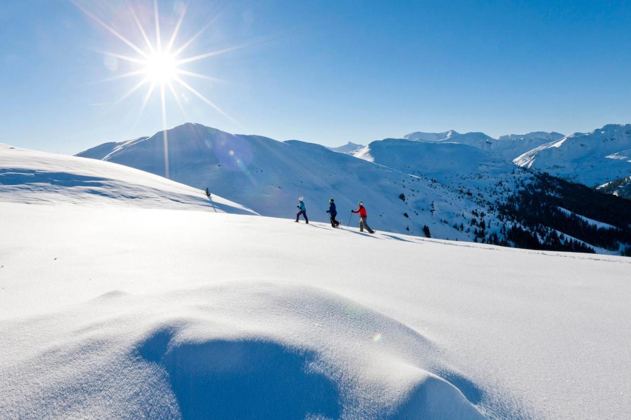 Holzboxen Planneralm Daire Dış mekan fotoğraf